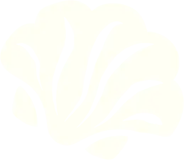 brand purnava