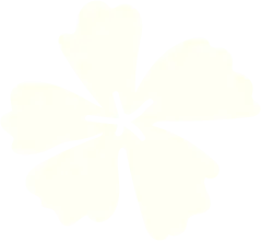 brand purnava