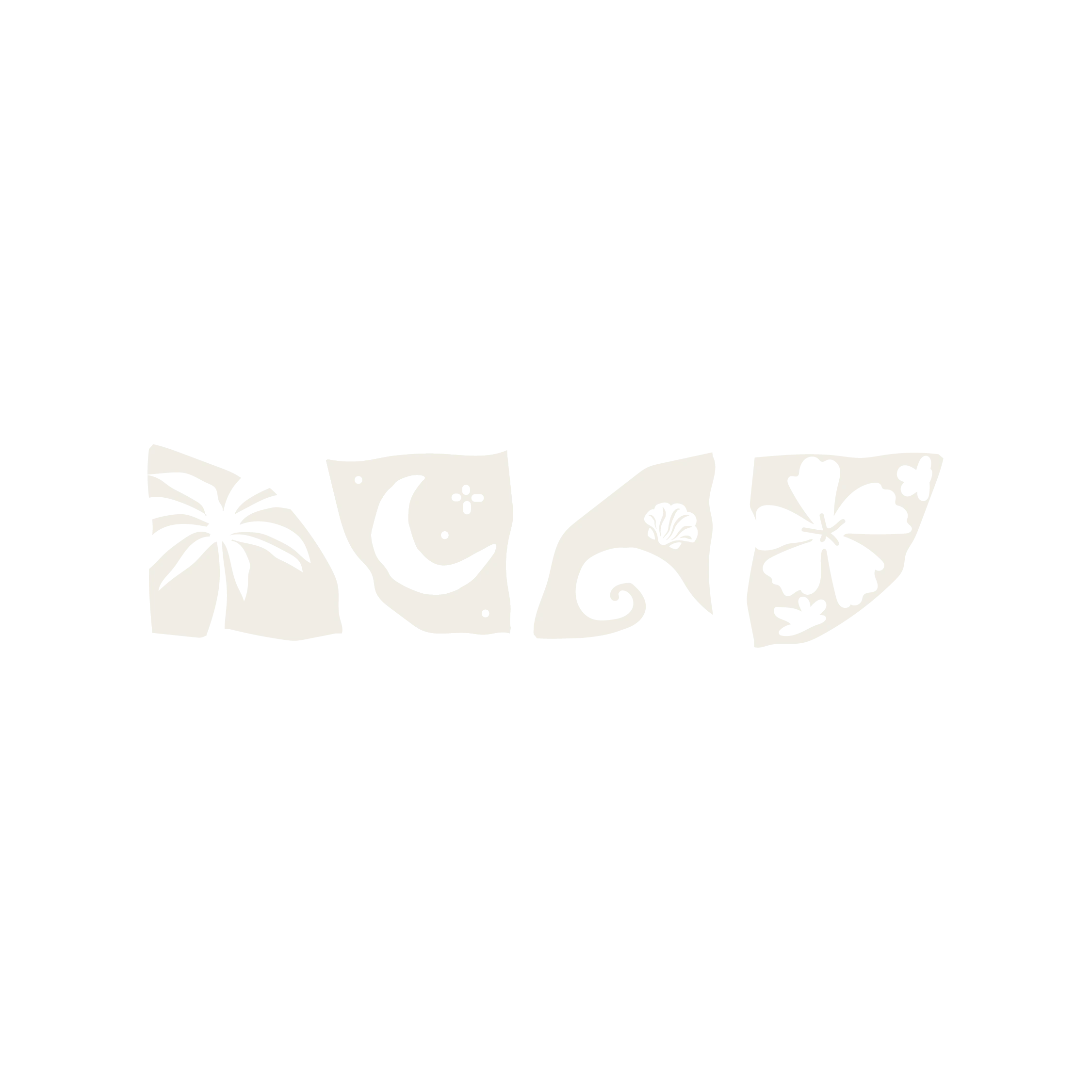 brand purnava